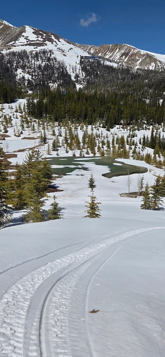 Carey Hofner tweet media