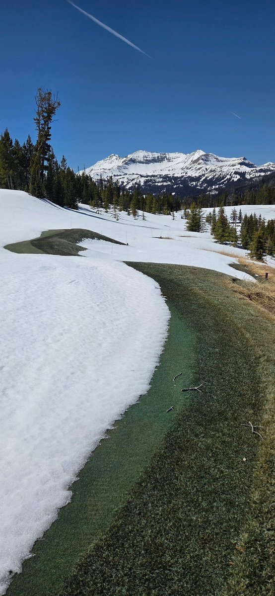 Carey Hofner tweet media