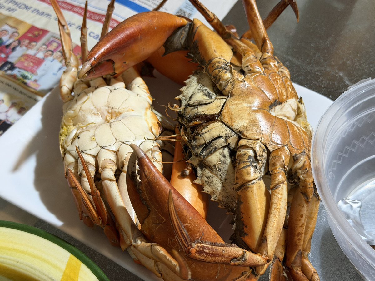 越南大叔 tweet media