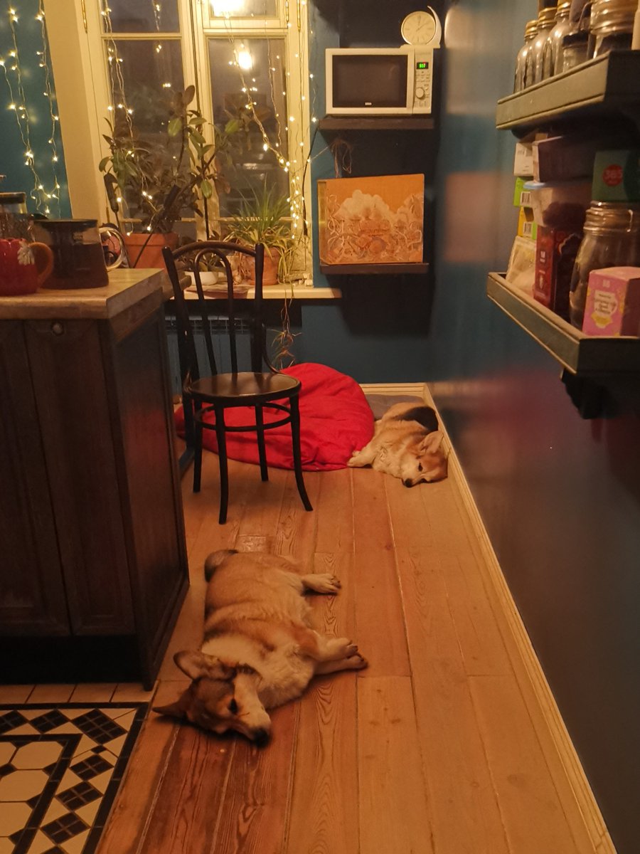 Альфина tweet media