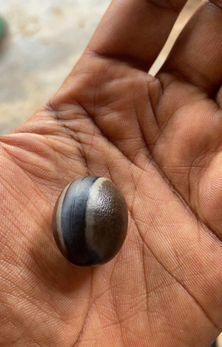 FATHER FIGURE 🦁🦁🦁 tweet media