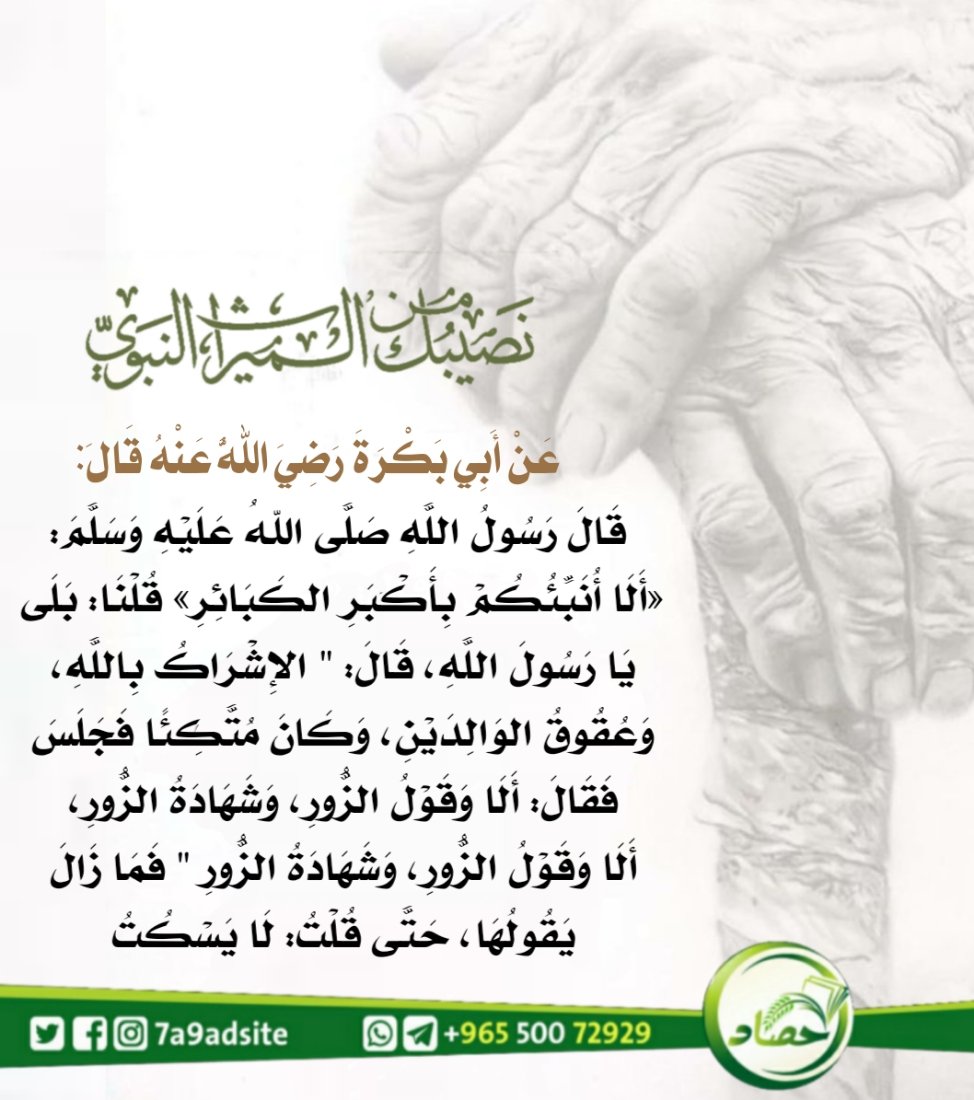 حصاد tweet media