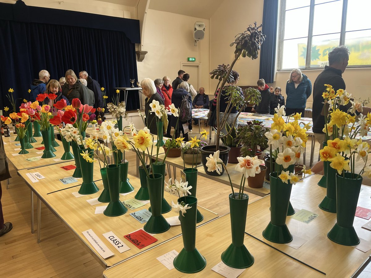 The Norty Boys and 🌈 Violet Hissypants tweet media