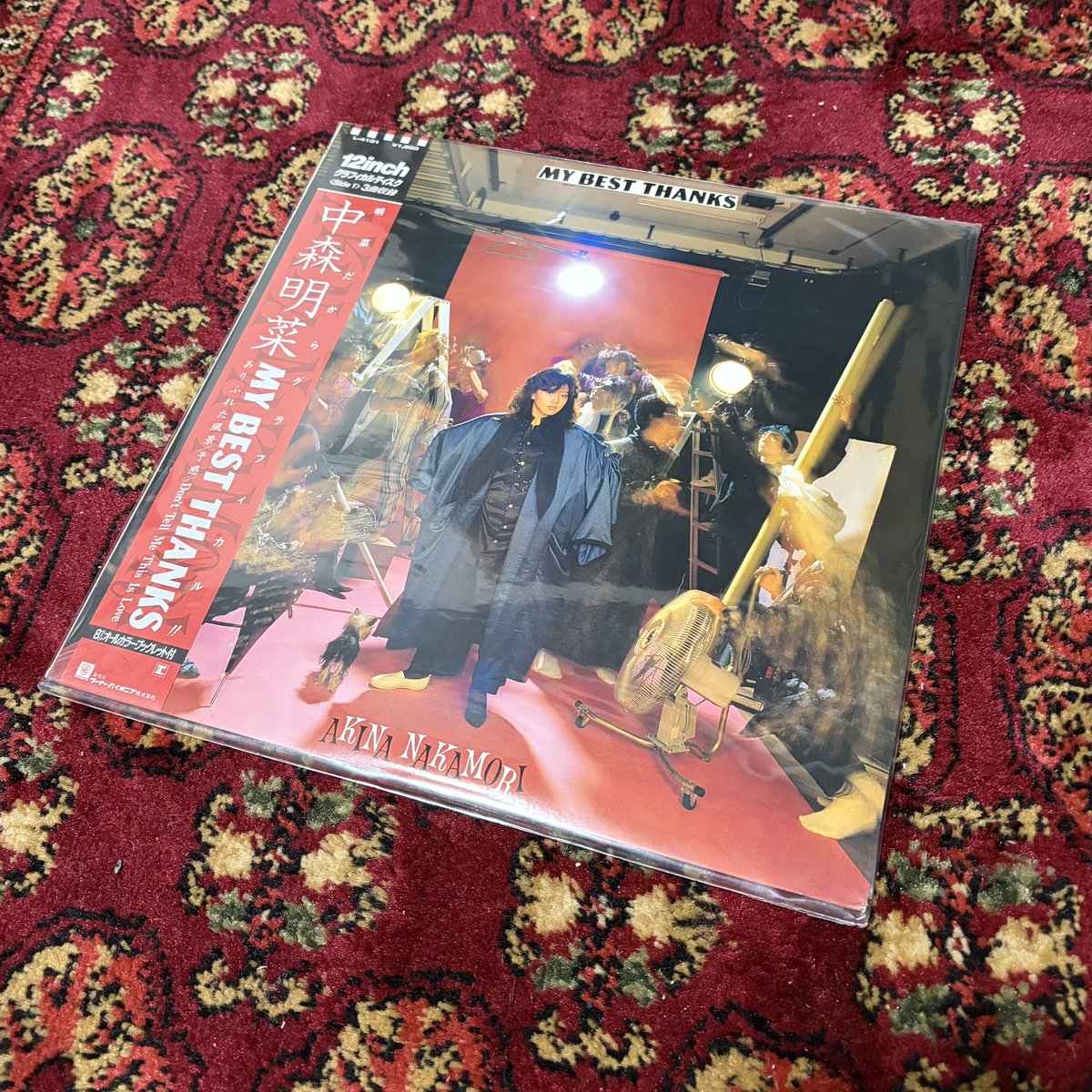 後藤ひとりぐらし tweet media