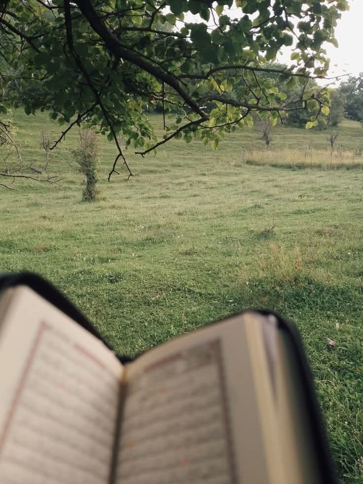 Ola Rajee tweet media