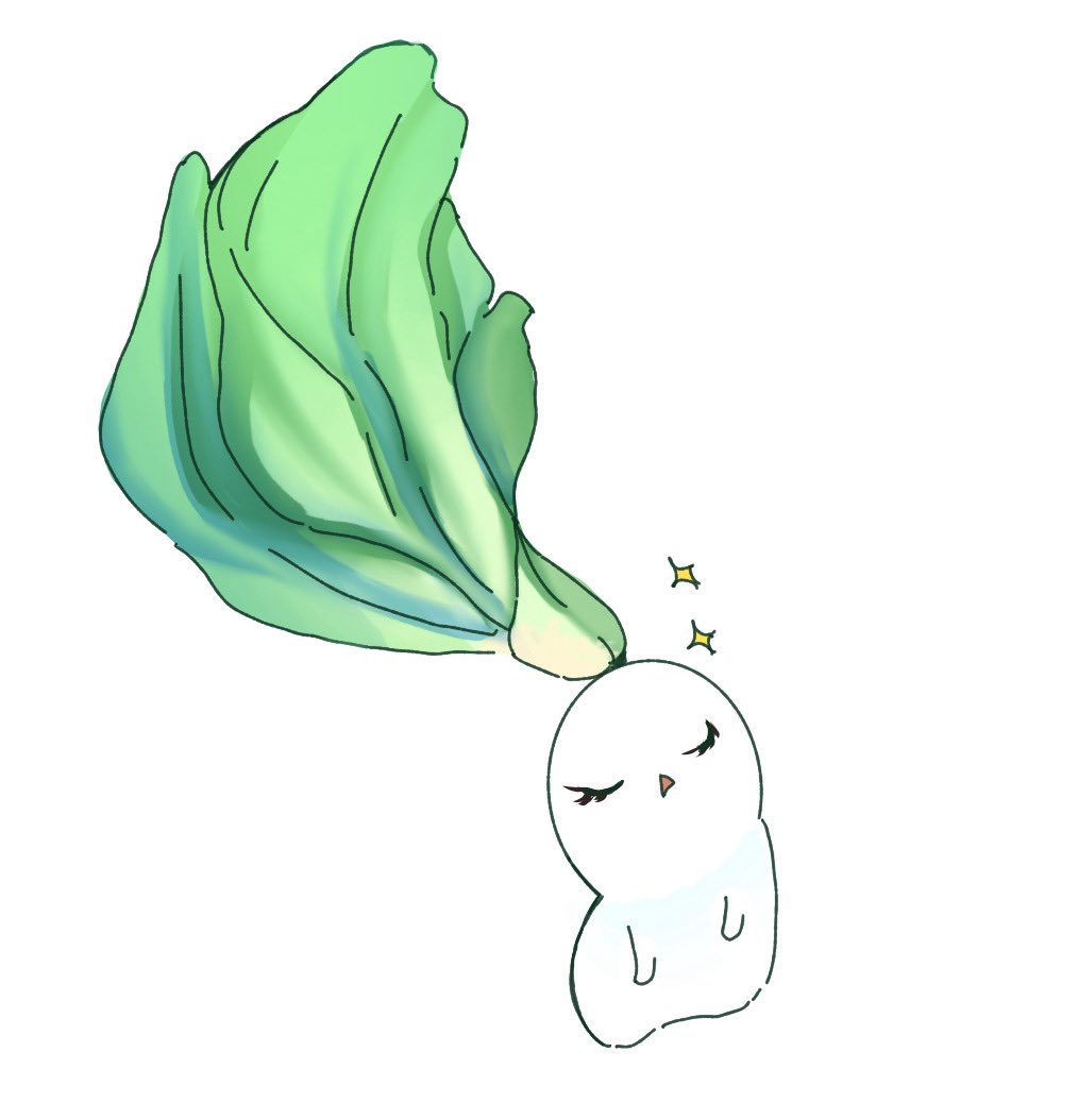 Tomato 🥬 tweet media