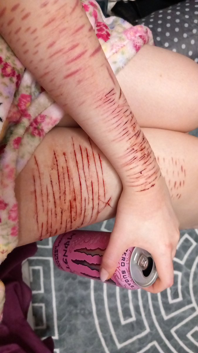 𝒀𝒖𝒓𝒊 𝒐𝒇 𝑺𝒉𝑬𝒅𝑻𝑾𝑻 tweet media