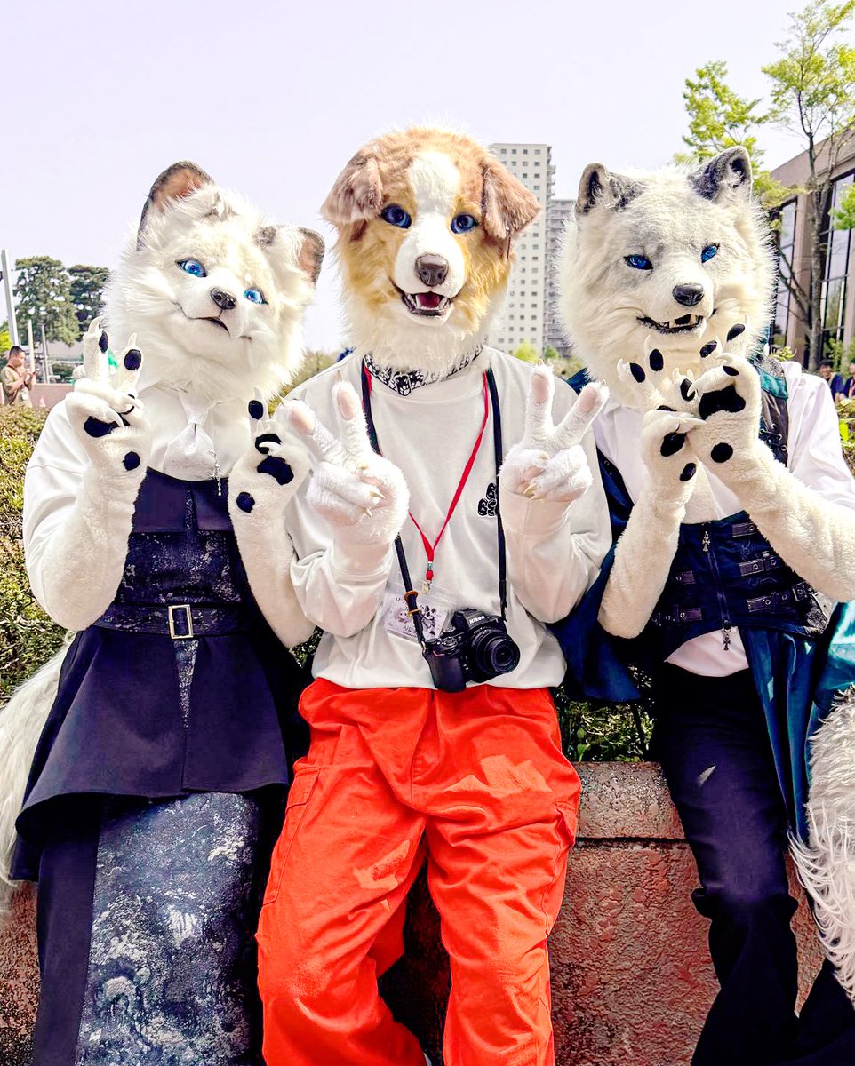 チョコ(Choc)⚡️ tweet media