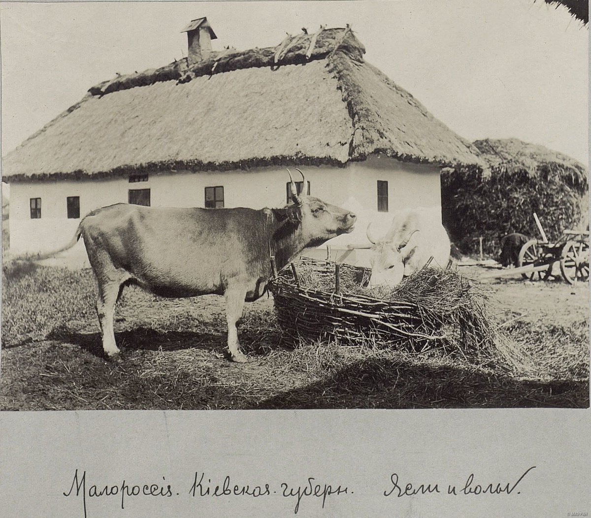 Генсек НАТО tweet media