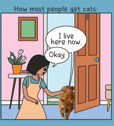 NaughtyKitty tweet media