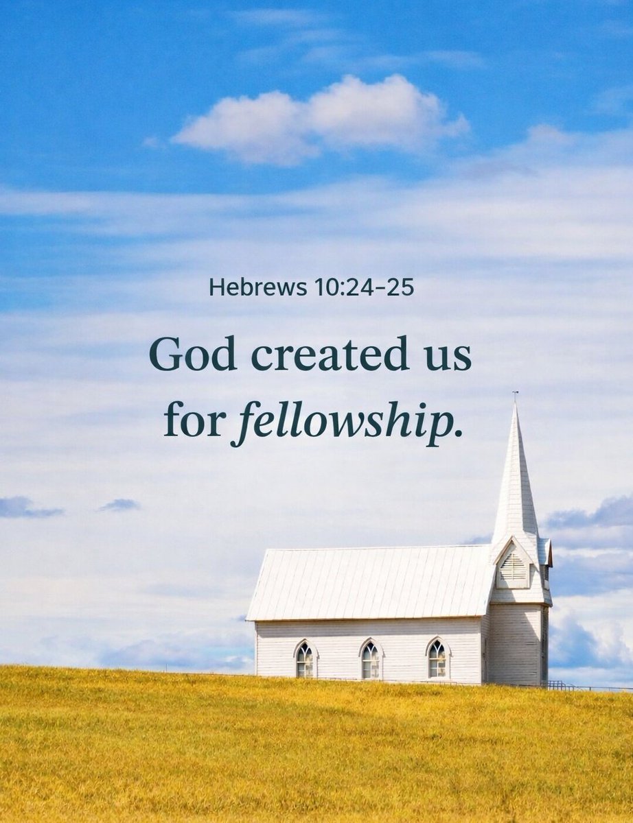 The Bible tweet media