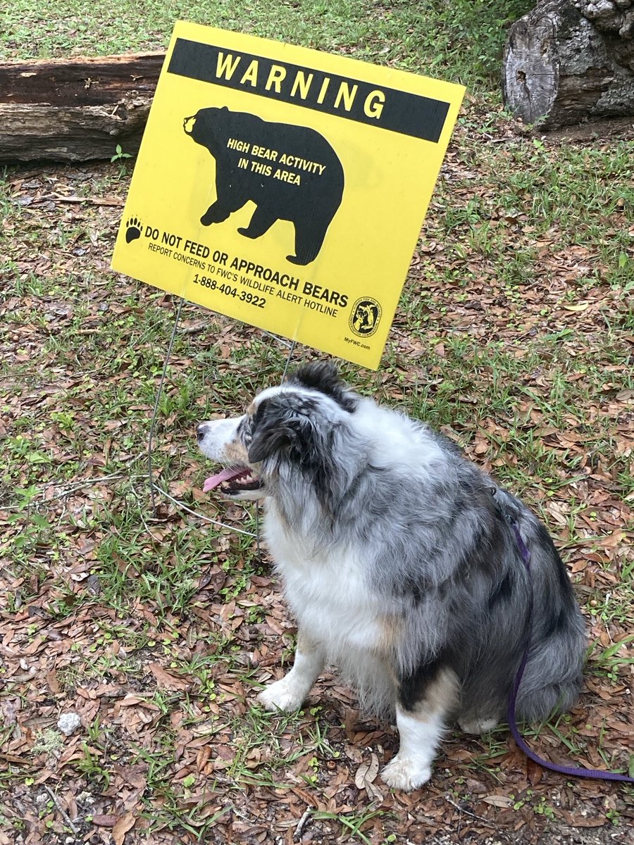 Mr. Big Steve Summers aka Cy Maddox tweet media