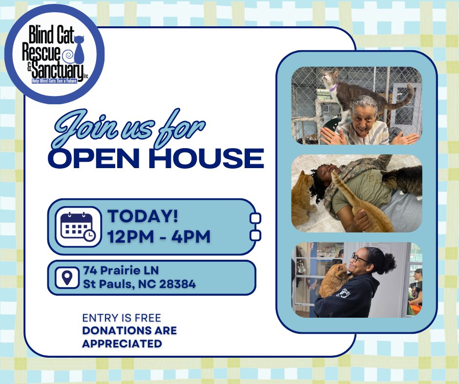 Blind Cat Rescue tweet media