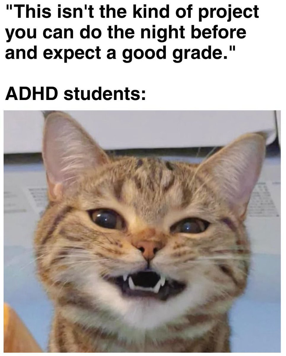 ADHD Memes (@adhdforreal) on Twitter photo 