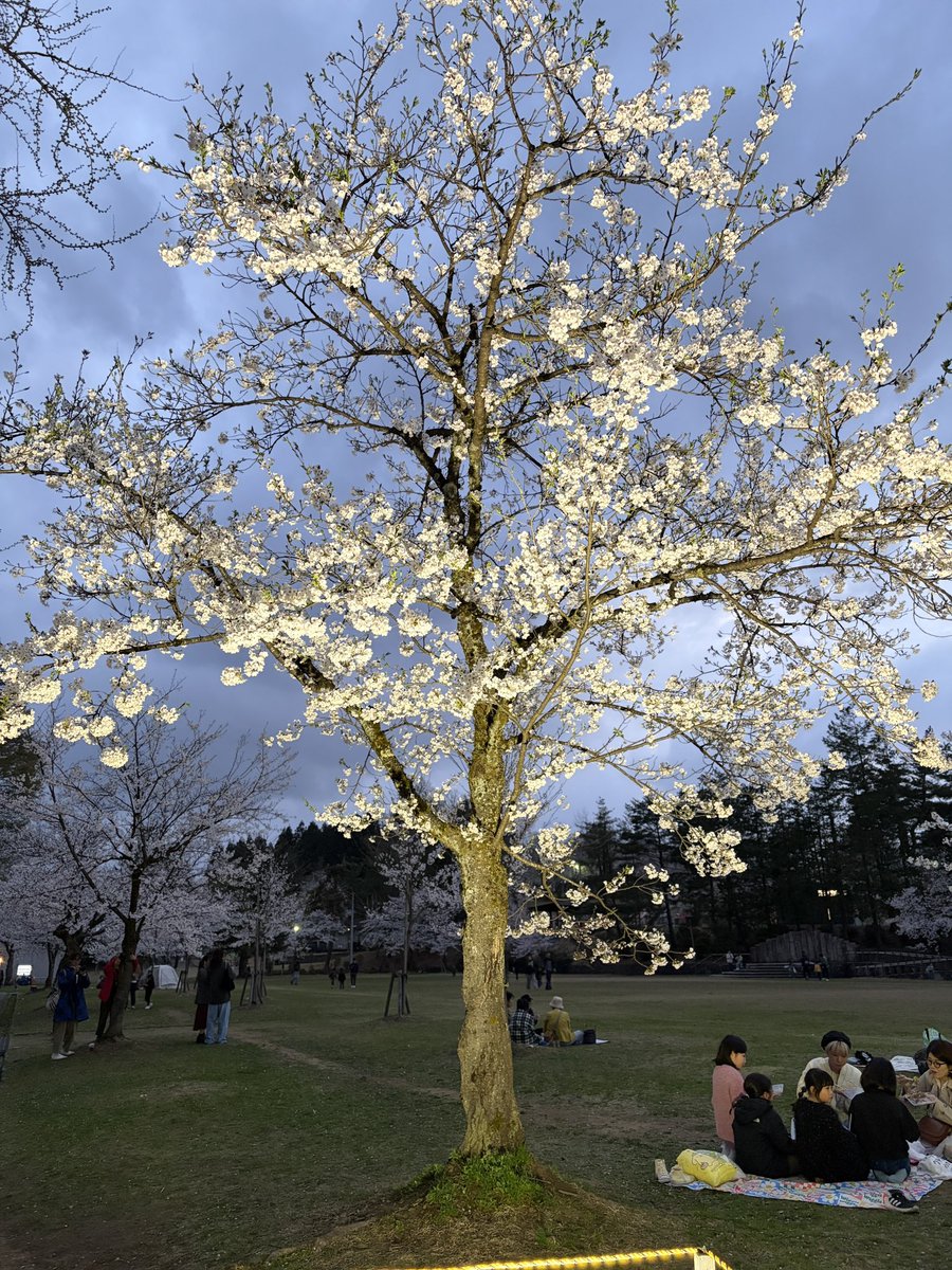 ヨシダ tweet media