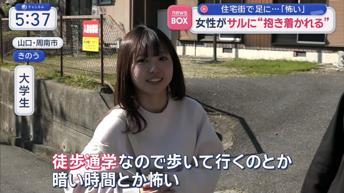 【速報】JDさん猿に抱きつかれる https://t.co/iDZerk1i1u