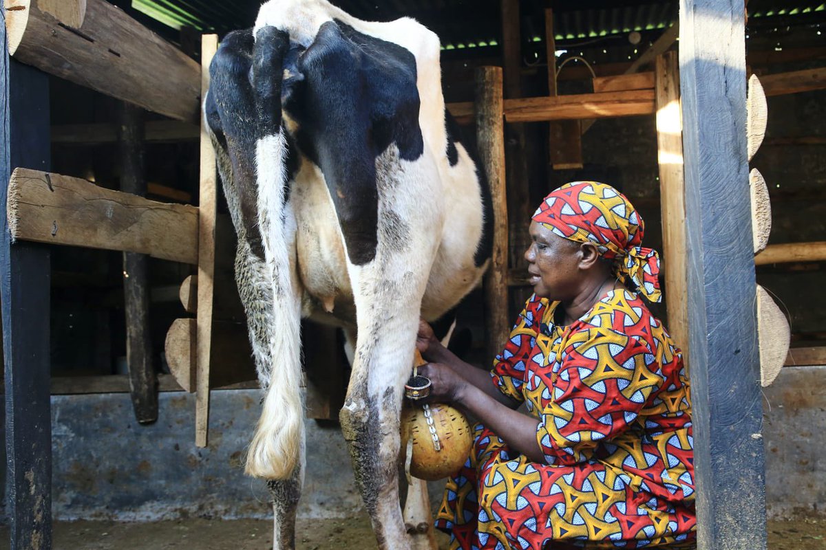 UNESCO 🏛️ #Education #Sciences #Culture 🇺🇳 tweet media