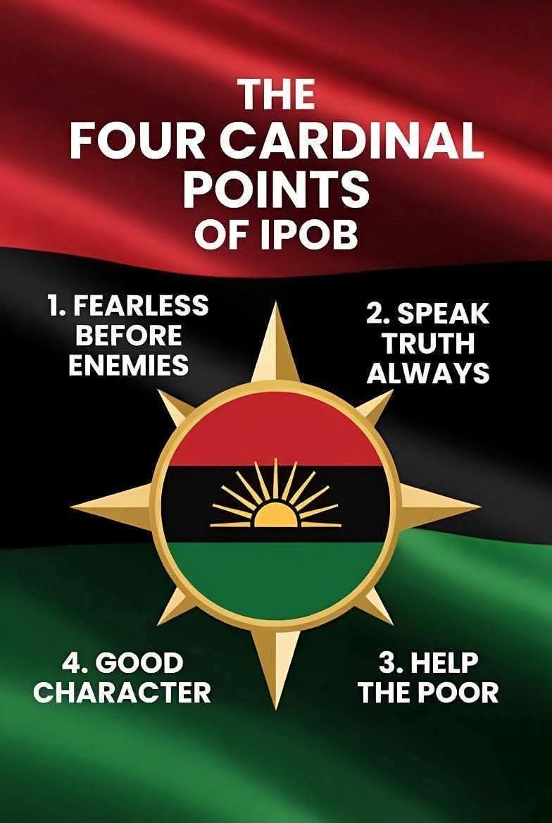 Ngozi Nnubia (@annnnubia) on Twitter photo 