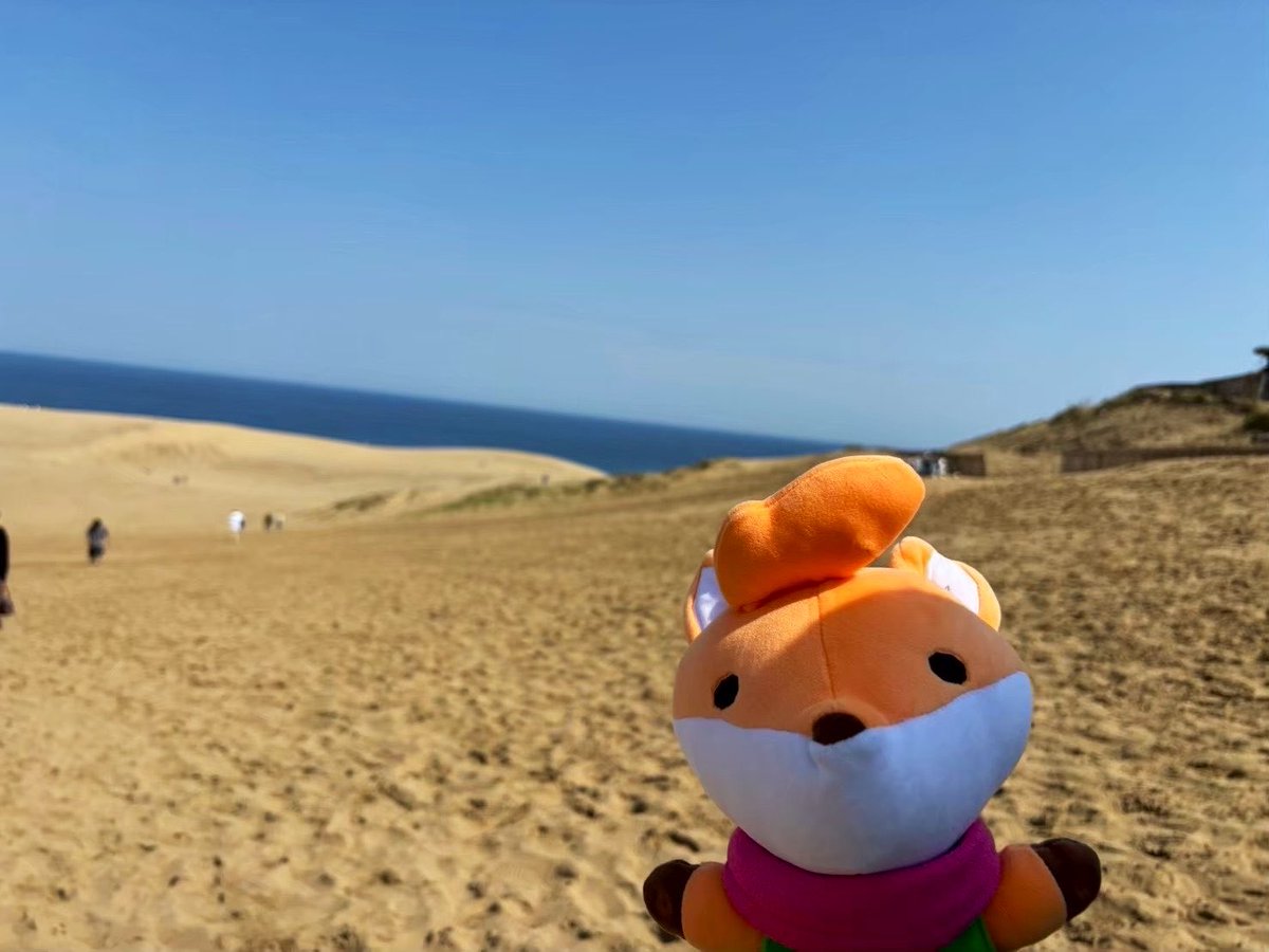 Tunic_san tweet media