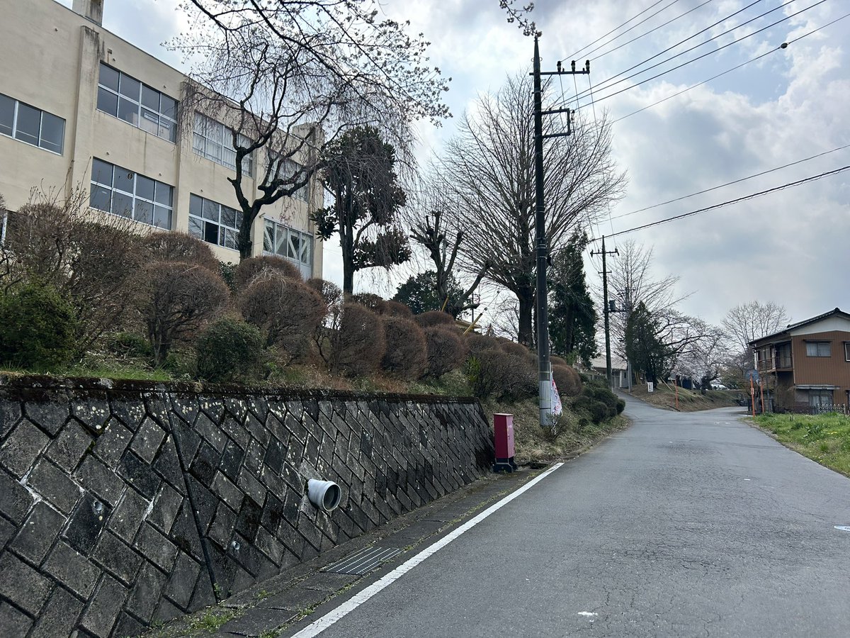 お城くん（松江観光大使・丸岡城PR大使） tweet media