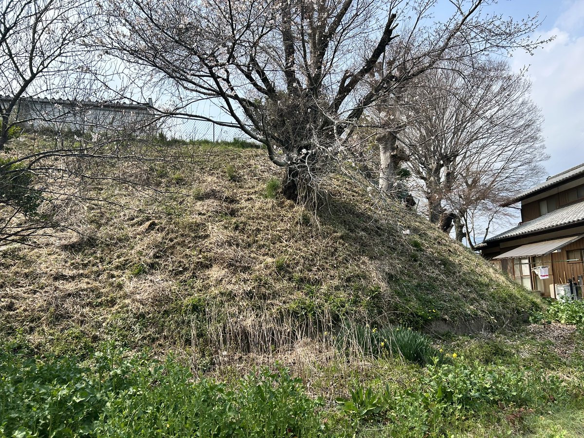 お城くん（松江観光大使・丸岡城PR大使） tweet media