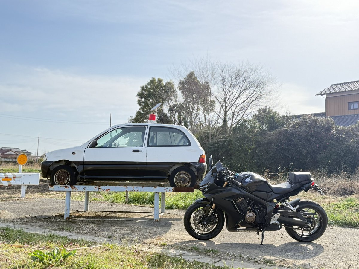 ハスキィー tweet media