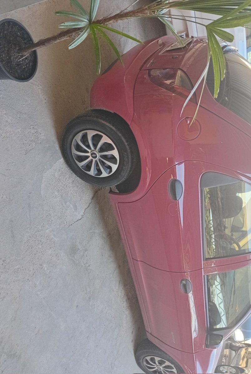 cansera ok tweet media