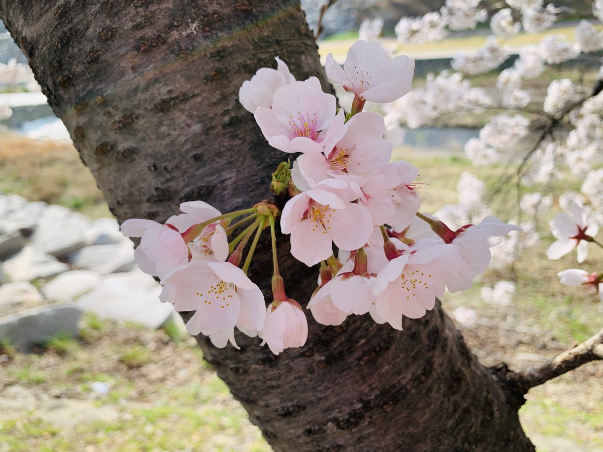 김희숙 tweet media