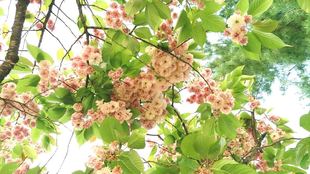 김희숙 tweet media