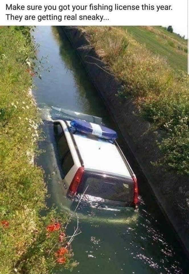 Texas Courtney tweet media