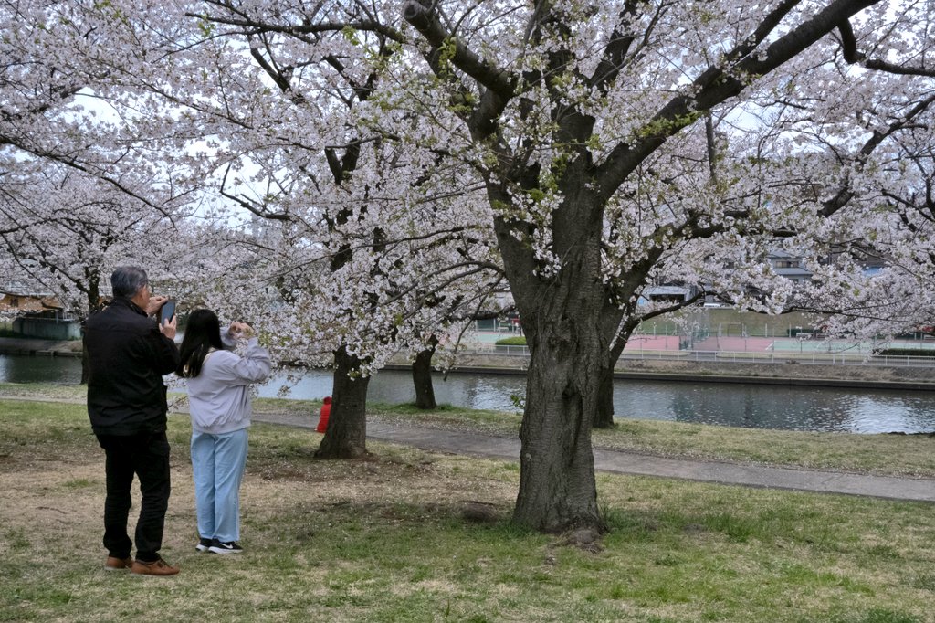 木石南【macaroom/kungfu/ストロングゼログラビティ研究】 tweet media