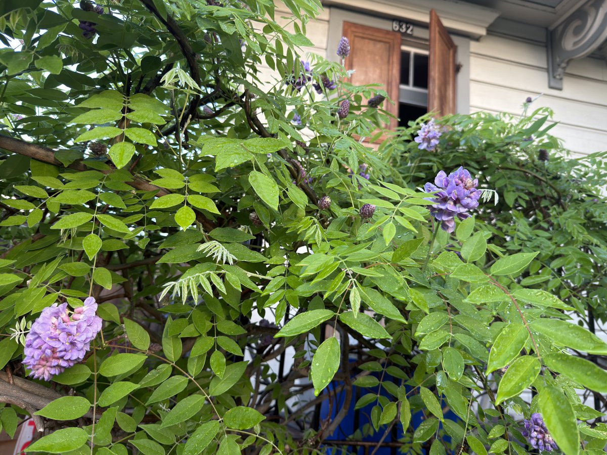 Micah Backer tweet media