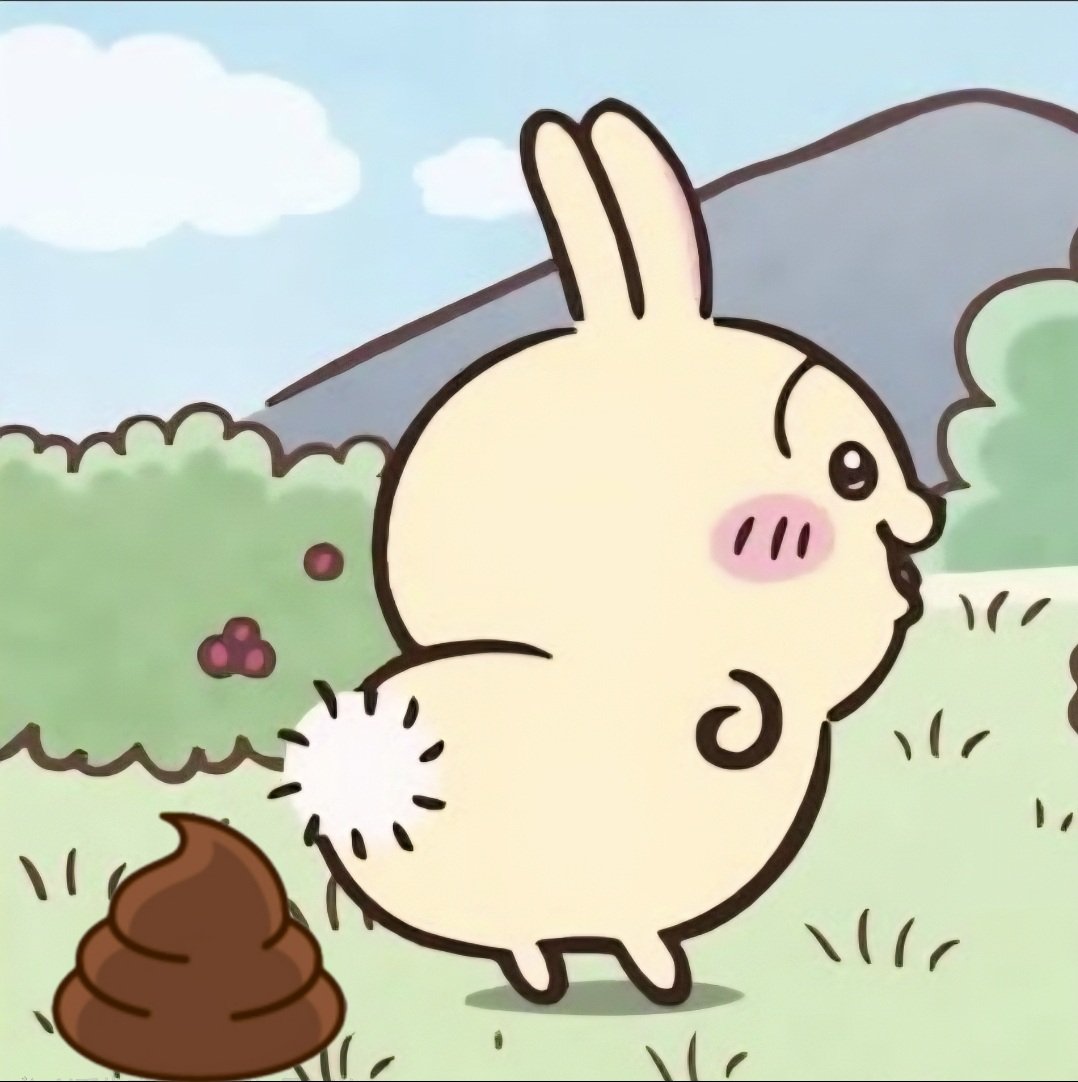 ソクオ☕🦧 tweet media