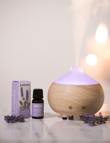 <a href="/PSlEUN/">🌱⚝ Sieun</a> to; <a href="/yqheyu/">Groom, Theo. #LoveSpelledAtoZ</a> &amp; <a href="/estheruiyu/">Bride, Ayara. #LoveSpelledAtoZ</a> <3

ayaya &amp; theo, pasangan kucing lucu. selamat atas hari bahagianya, yaa. semoga hubungan kalian selalu hangat dan penuh dengan kasih sayang. happily ever after! 🍀 #LoveSpelledAtoZ

from; Kyara &amp; Bumi, <a href="/CEUNWO0/">Eunwoo</a>