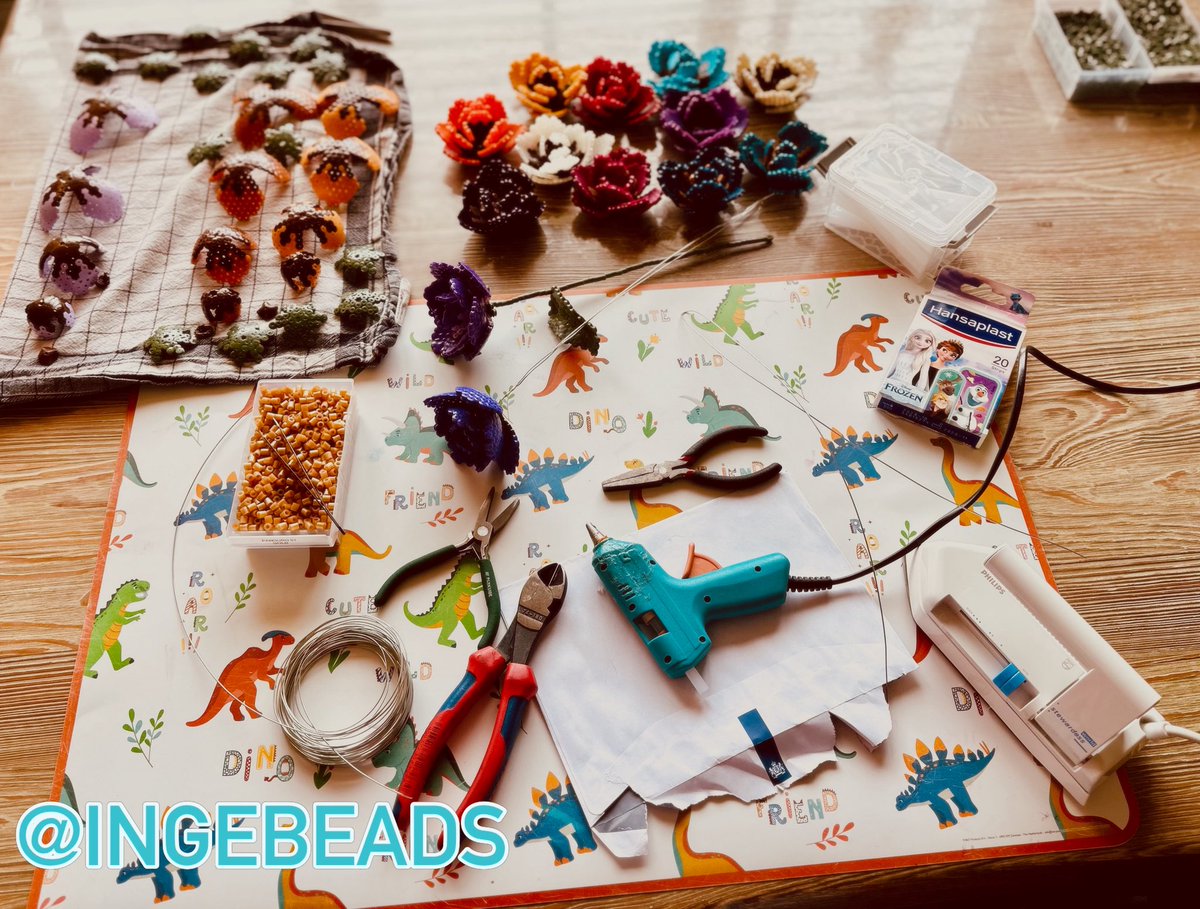 #IngeborgVraagt🍀😇 tweet media