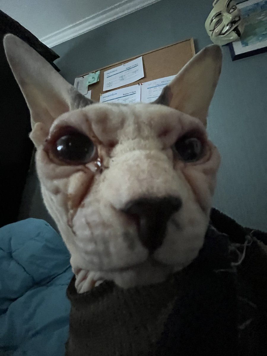 jo🌸 #teambachira tweet media