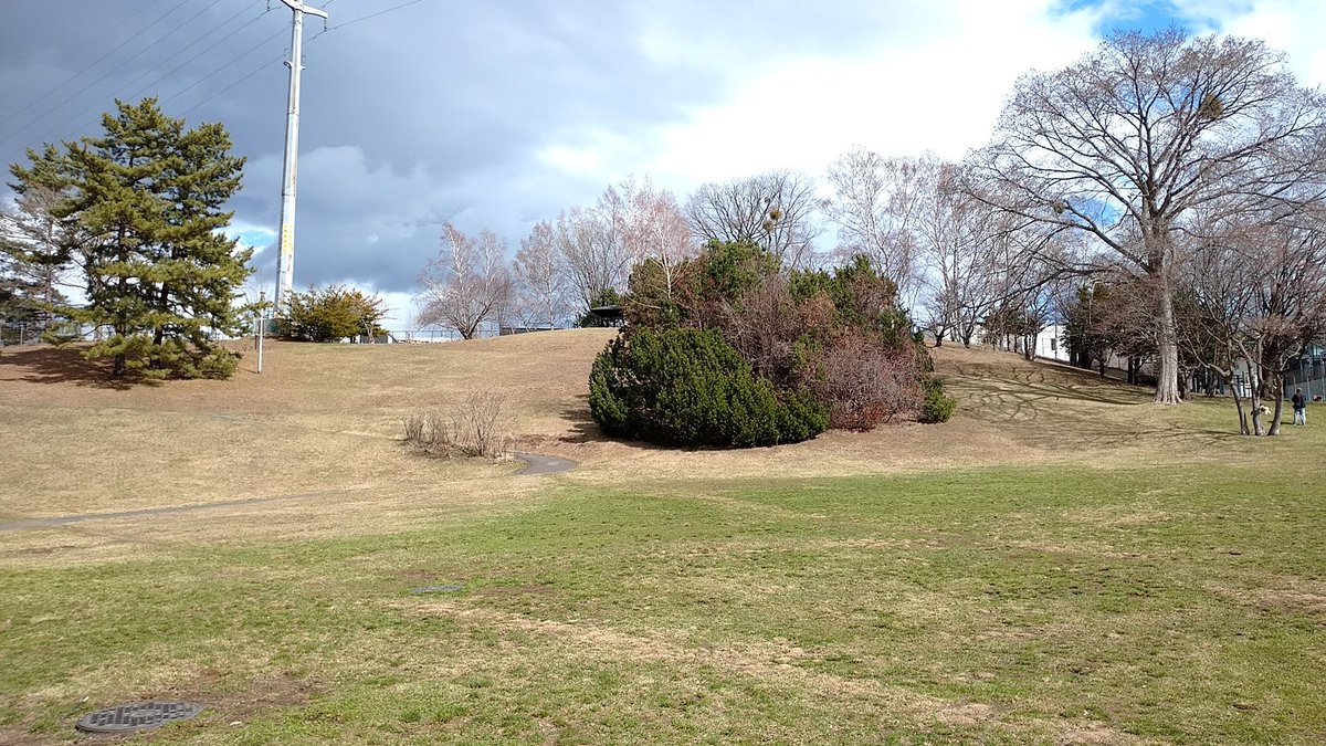 つっちぃー@春になったら旅に出よう tweet media