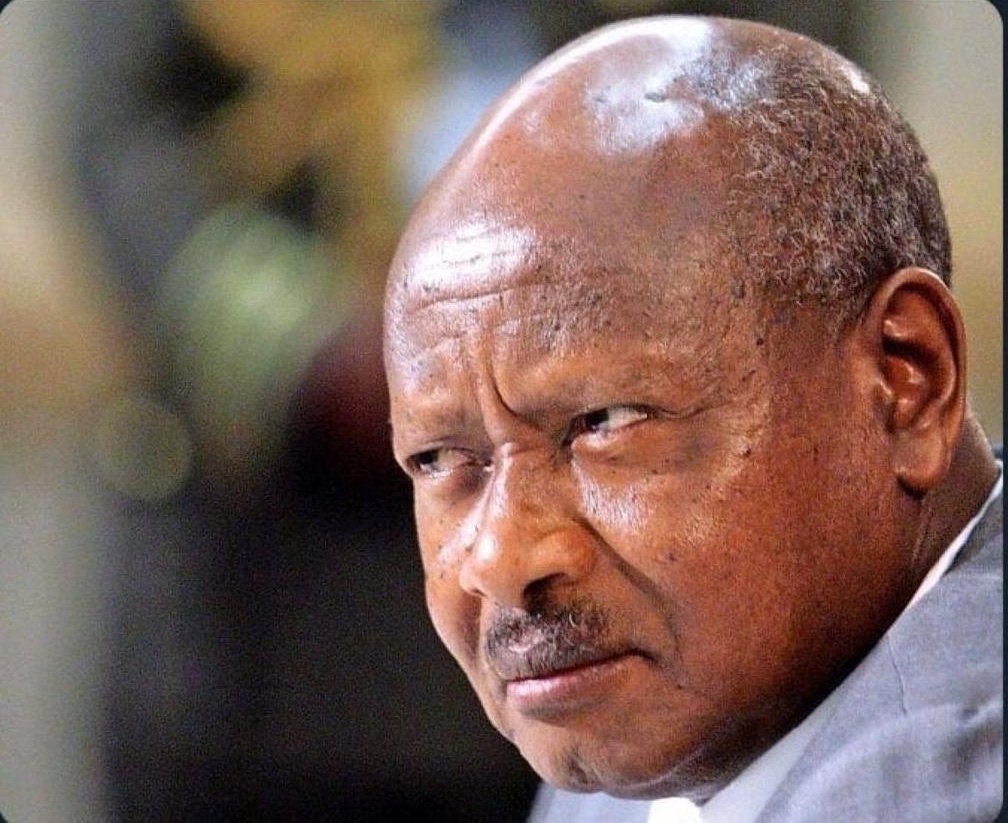 Randall Saul...🇿🇦 tweet media