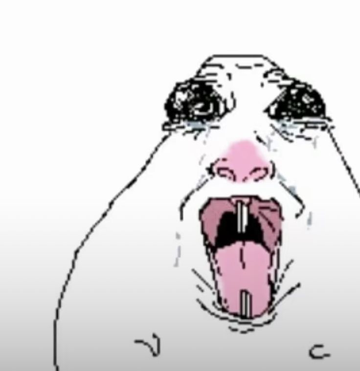 닌텐도2 사고싶다