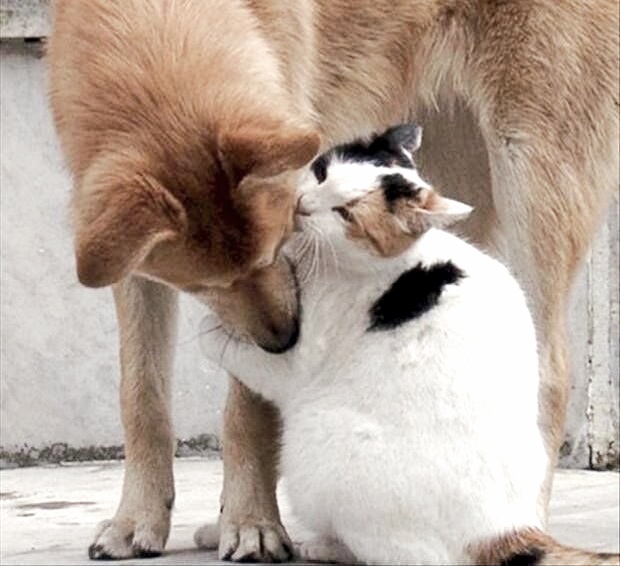 Suzy Sue ❤❤💕 tweet media