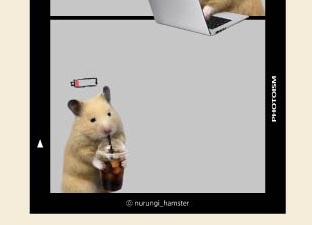 Lily 🌼 tweet media