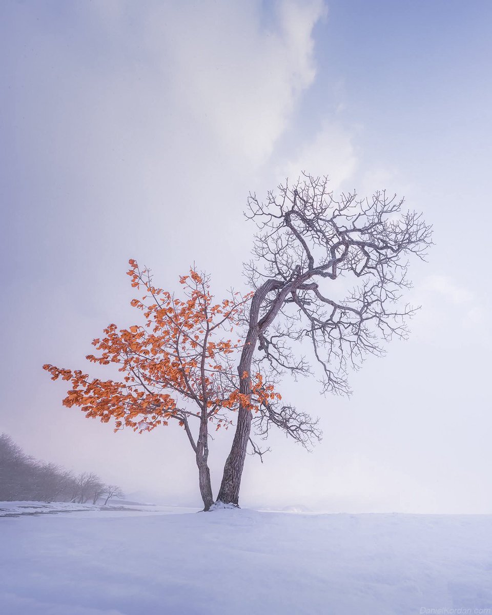 A Solo Traveler tweet media