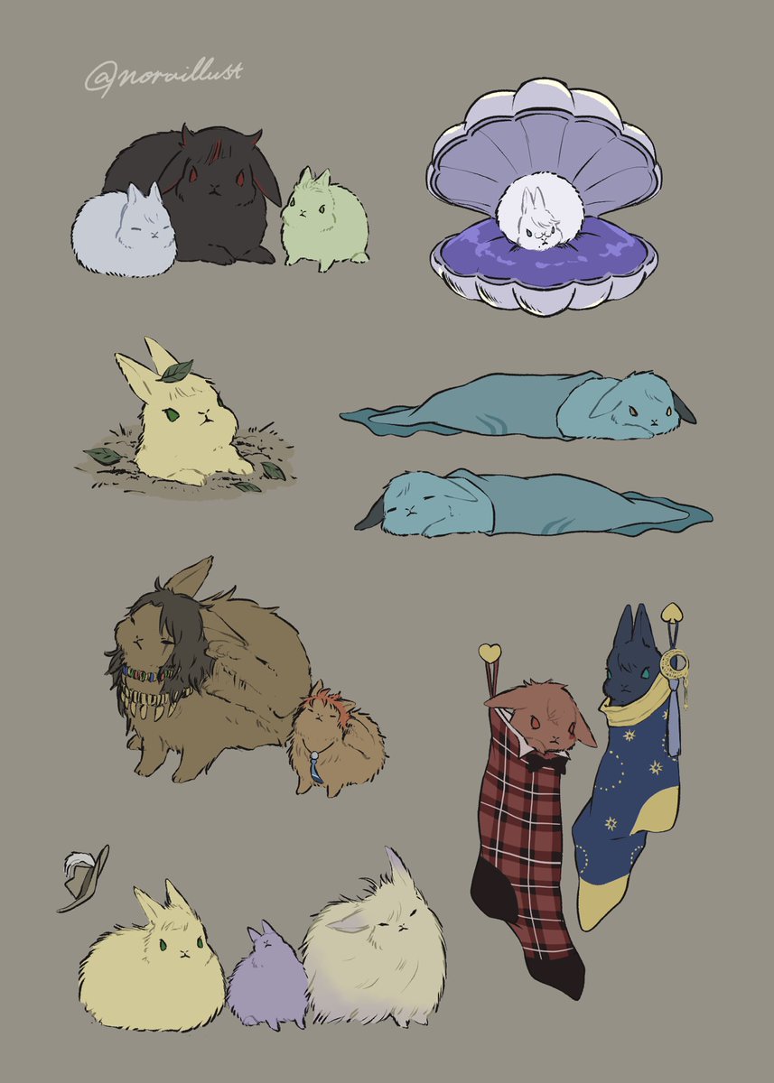 のら@5/5は12b tweet media