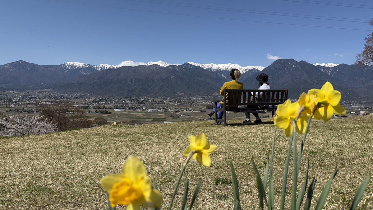 伊藤恵 tweet media