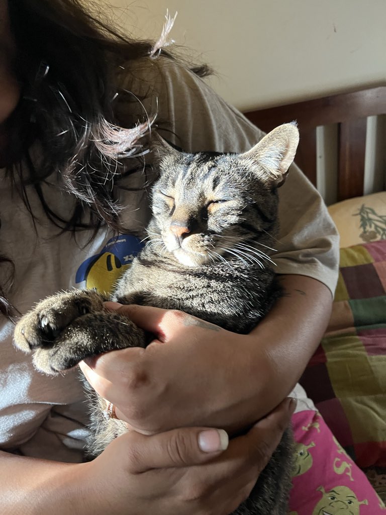 gauri 🛺 tweet media