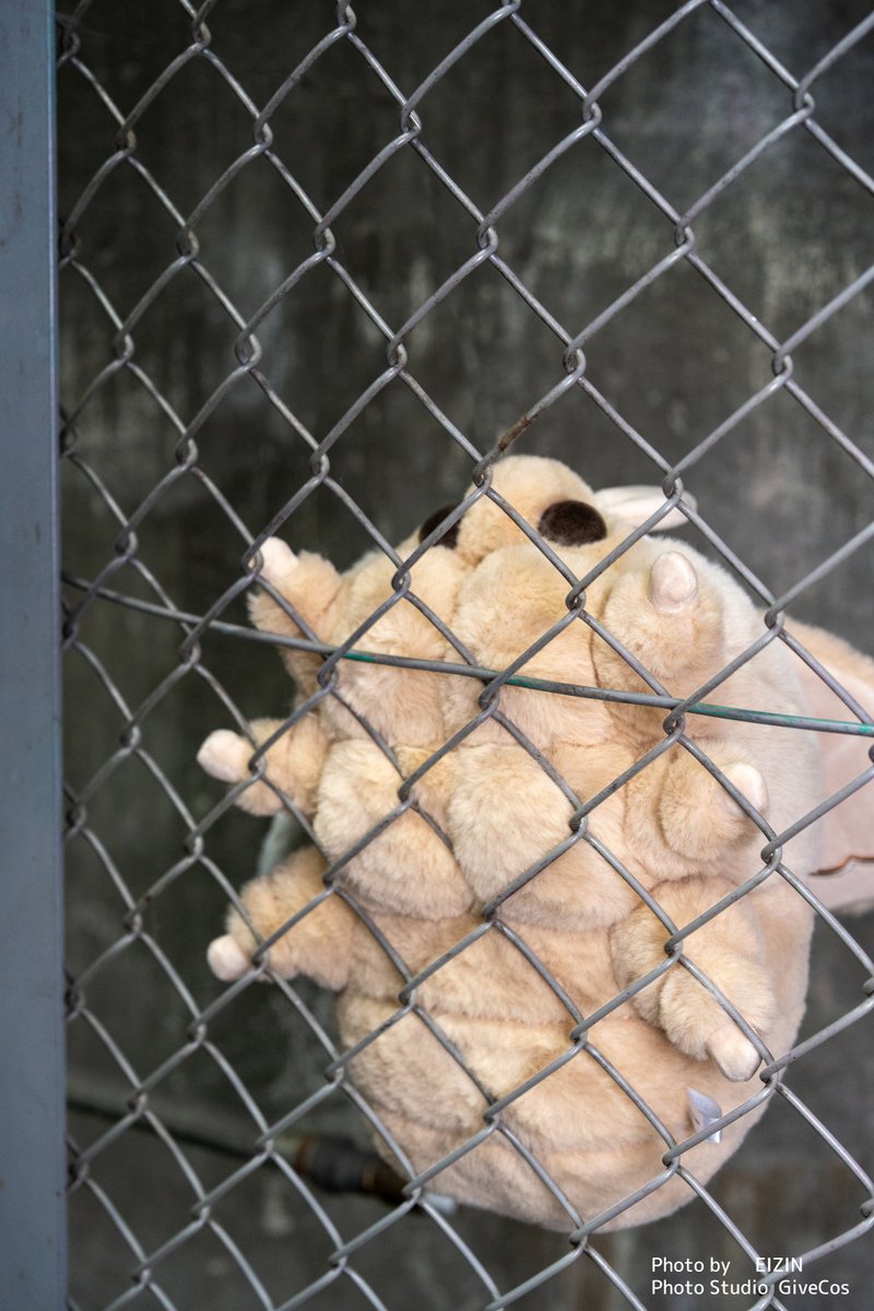 大きくてモスモスのモス tweet media