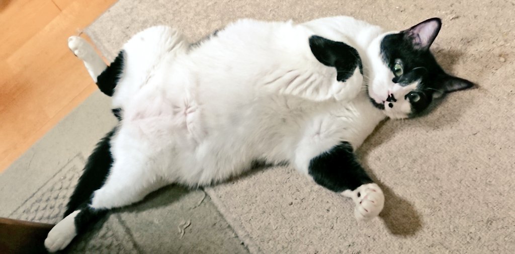 RYO4459 25ｰ26シーズン ここから怪我だけはアカン tweet media