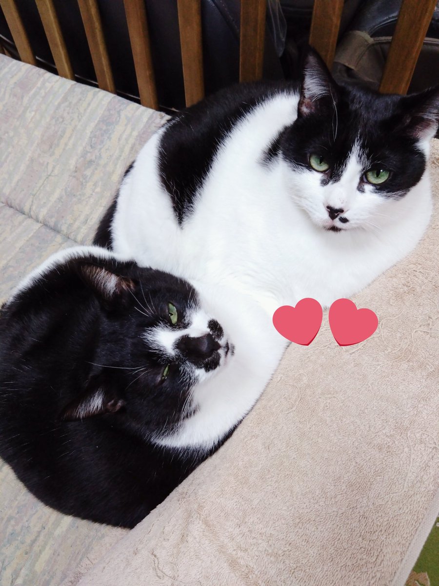 RYO4459 25ｰ26シーズン ここから怪我だけはアカン tweet media