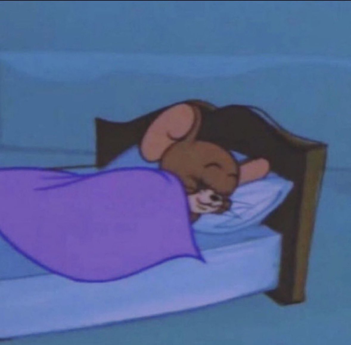 Ana Sabe Volar tweet media