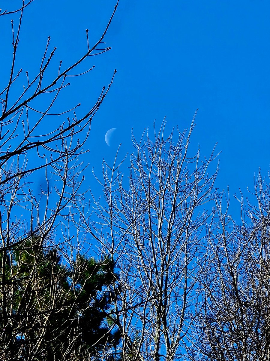 HutchisonLmhc's tweet image. A Saturday morning sliver of the moon. 🌜
 #SaturdayMorning #moon #moonmagic